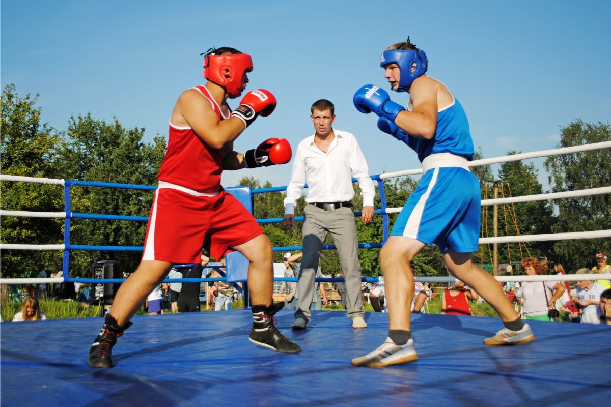 Boxing Martial Art Or Sport 