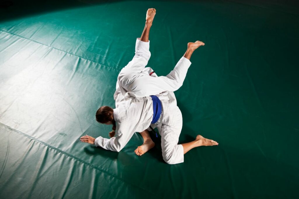 What Is Jiu-Jitsu The Best Martial Art